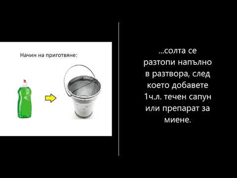 Видео: Платете за пътуване и пушене на плевели с тази уникална възможност за работа