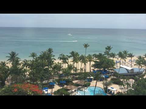 Ali10o Live Stream
