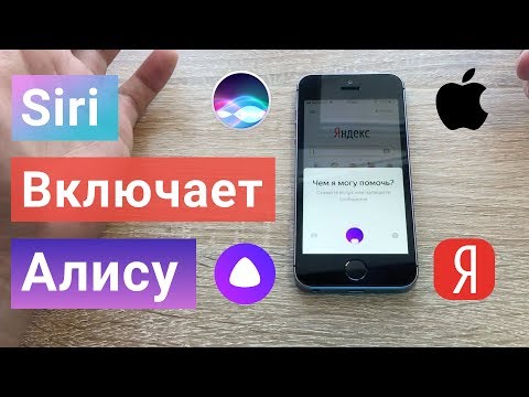 Яндекс АЛИСА как АКТИВИРОВАТЬ ГОЛОСОМ на айфон iOS на любом экране без рук через Siri