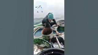Kisah seorang nelayan (NGOPEK)