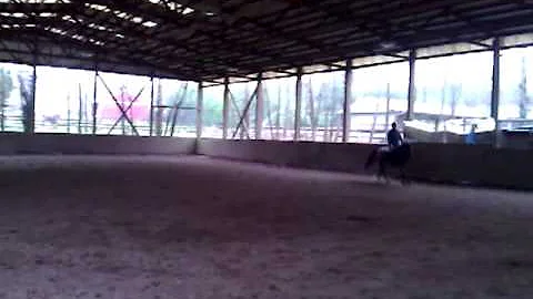 Misty Canter
