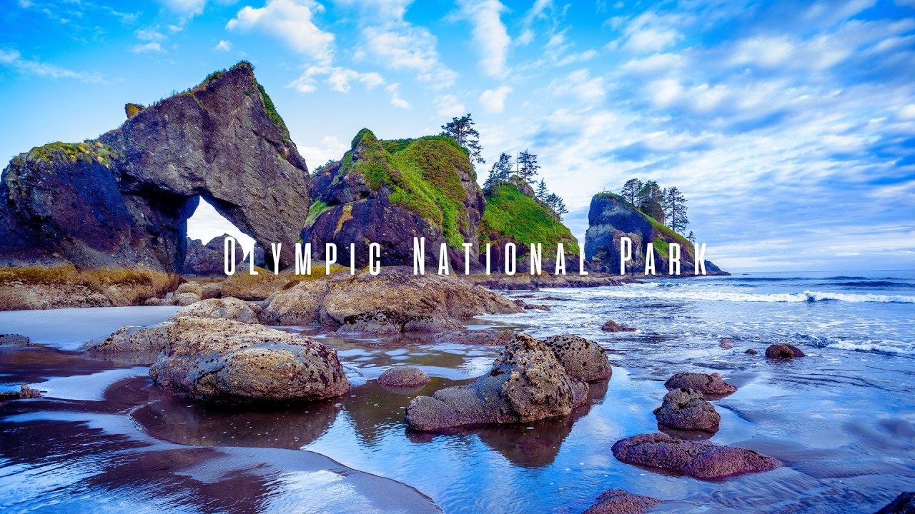 The ULTIMATE TRAVEL GUIDE to Olympic National Park - YouTube