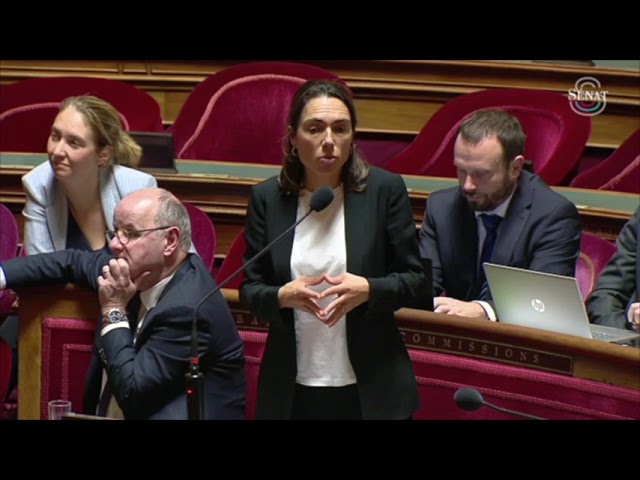 PLF 2026 : Défense du financement des aides aux collectivités pour l’électrification rurale
