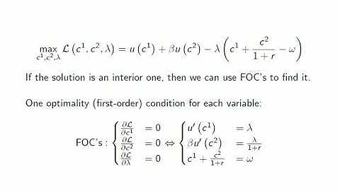 Euler equation