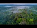 Brazil hosts summit to discuss challenges facing Amazon rainforest