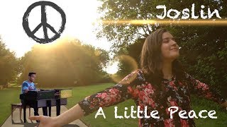 Video thumbnail of "A Little Peace - Joslin - Nicole cover"