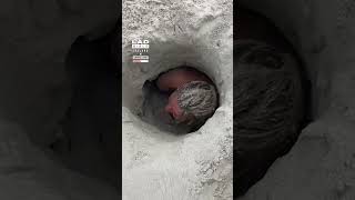 She Dug a Tunnel in the Beach 😲 🏖️