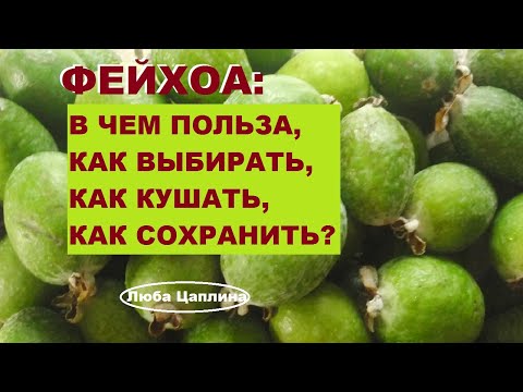 Фейхоа: в чем польза,как выбирать, как кушать и как сохранить?