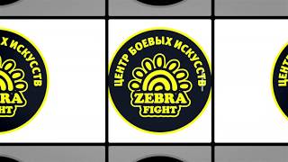 Zebra fight - промо ролик секций в Зебре на Полбина 33А