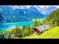 Beautiful relaxing music 40  piano and nature  find your balance and harmony