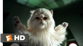 Cats & Dogs (7/10) Movie CLIP - Our Day Has Come! (2001) HD