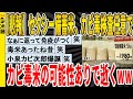 【2ch面白いスレ】【悲報】セクシー備蓄米、カビ毒検査任意でカビ毒米の可能性ありで逝くｗｗｗｗｗｗｗｗｗｗｗ　聞き流し/2ch天国