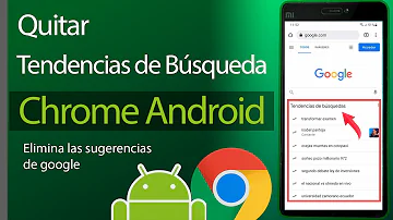 ¿Cómo puedo borrar las tendencias de búsqueda?