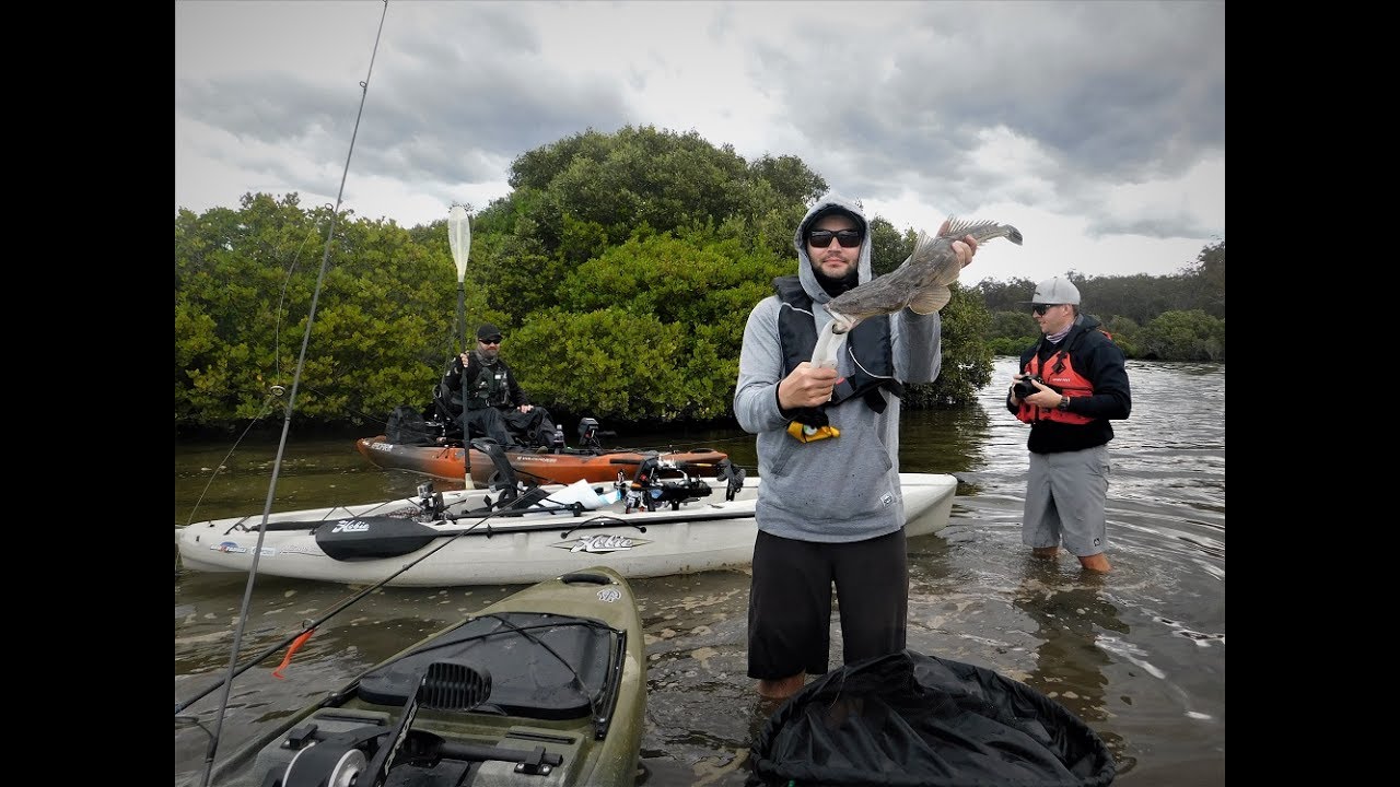 Flathead fishing the Clyde River in kayaks YouTube