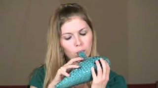 Tortoises from Carnival of the Animals on STL Enigma Bass Ocarina