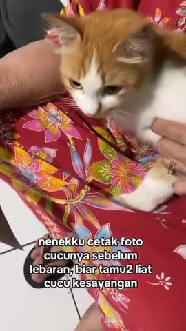pewaris tahtah segguhya