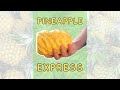 Pineapple Express! 🍍 How to Cut Pineapple with Minimal Waste #shorts
