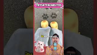 sandal Paw Paw Telapak Doggie  shorts shorts paw funny
