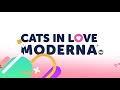 Accesorios para gato de la marca moderna products