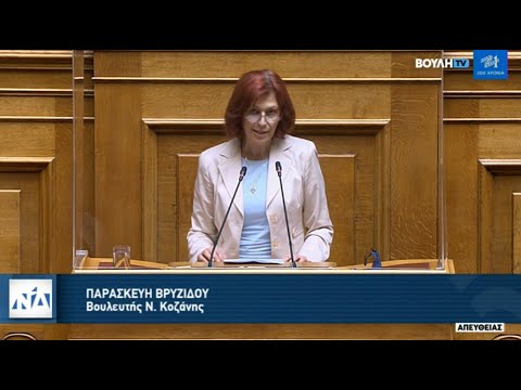 Ομιλία Π. Βρυζίδου στο νσ για την καταπολέμηση της νομιμοποίησης εσόδων από παράνομες δραστηριότητες