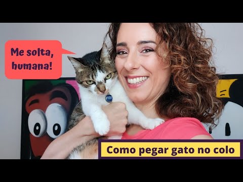 Vídeo: 8 maneiras de fazer brinquedos para gatos