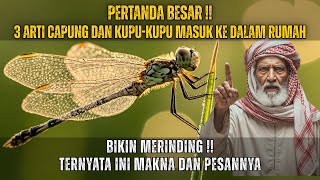 Big Sign The Meaning Of Dragonflies Butterflies Entering