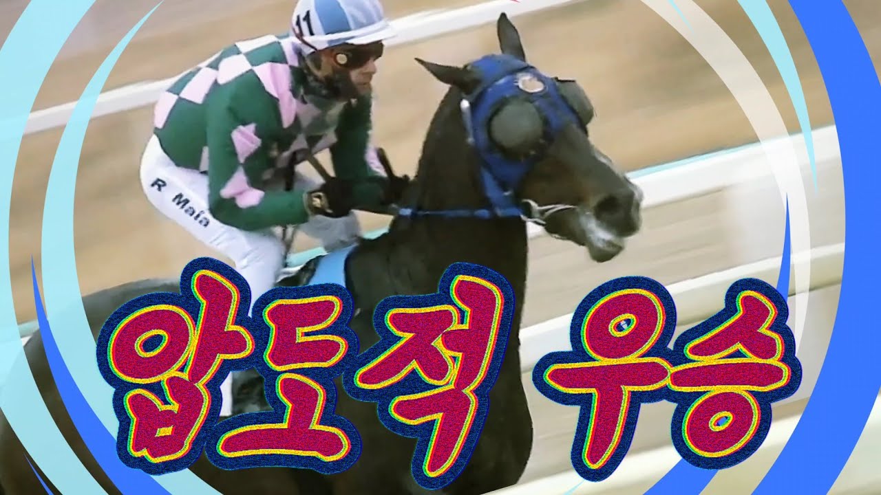 초민감한 어린 경주마가 반드시 이겨야만 하는 경주를 만나면 생기는 일! 홀리티아라의 두번째 경주