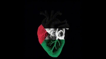 القارئ«عبدالله موس»     «متابعه»