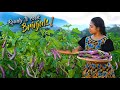 Lots of Brinjals! Curried them, stuffed with them & of course preserved them too | Traditional Me