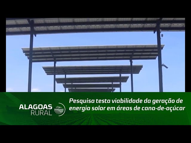 Pesquisa testa viabilidade da geração de energia solar em áreas de cana-de-açúcar