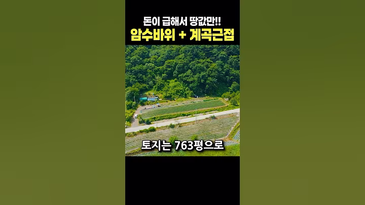 주인분이 돈이 급하답니다! 계곡 근접