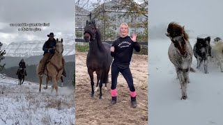 Horse TikToks That Went Viral! #9