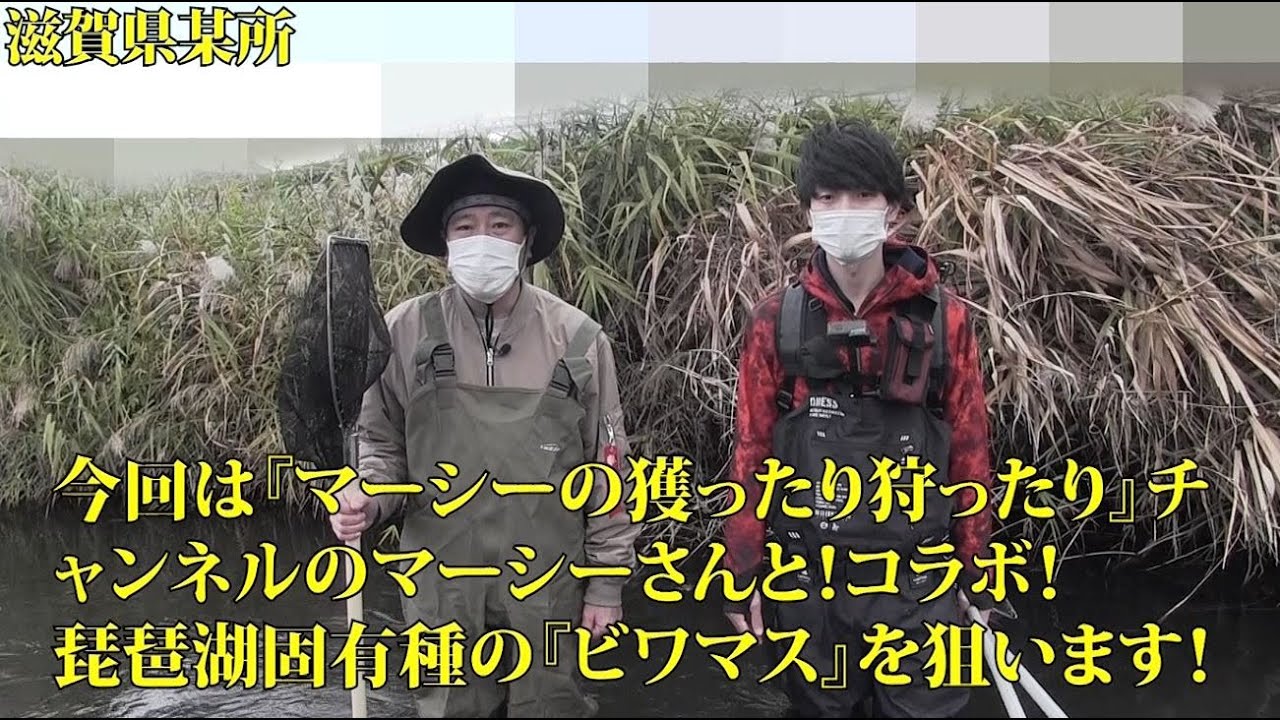 マーシーさん専用⭐︎ YouTube