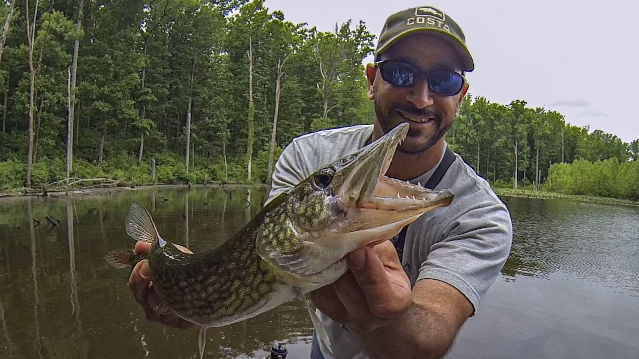 Best Day EVER Bass Fishing a Farm Pond!!! (TOPWATER FROG & MORE) PART 2