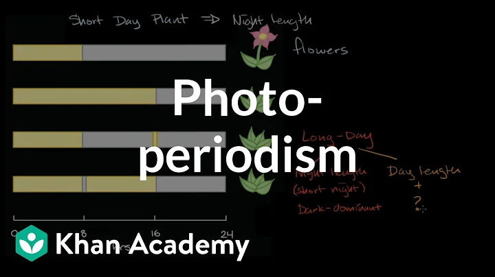 Photoperiodism  | Plant Biology | Khan Academy - DayDayNews