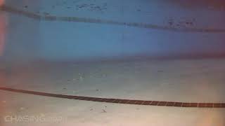 Chasing Dory first Dip P2