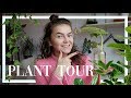 Plant tour  tips  kim van haren