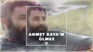 Ahmet Kaya Ölmez - Halit Bilgiç | Prod. Burako Beats