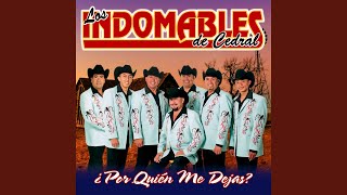 Video thumbnail of "Los Indomables de Cedral - Morir a Mi Modo"