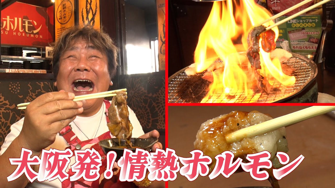 【情熱ホルモン】大阪発祥！全国で大人気の情熱ホルモン