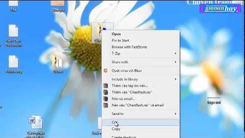 Chèn Flash vào PowerPoint 2013 và 2003
