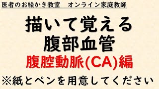 消化器内科医のための腹部血管①　US/CTなど腹部画像診断に必須の知識