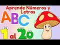 Aprende los números del 1 al 20 y el alfabeto español con ejemplos | Video educativo para niños🔴Live