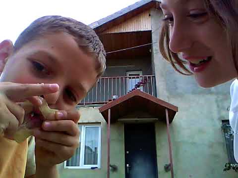 ვურევთ3ჟელე ტყლარწს ერთმანეთში და ვაფაფუკებთ 1 იგრედიენტით.