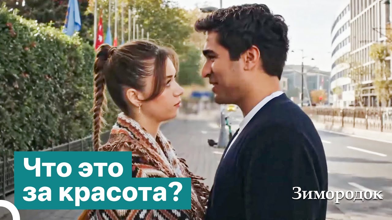 Я согласен как на её капризы, так и на страдания ради этой любви | Зимородок