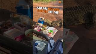 Crocodile Joins Picnic And Steals Cooler Box