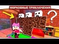 САМЫЙ ЗАГАДОЧНЫЙ ИССУШИТЕЛЬ В МАЙНКРАФТЕ!!! 30 - Морковные приключения (Minecraft Let's Play)