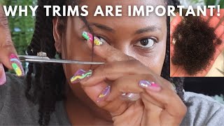 Why TRIMS are Necessary and how to Self Trim