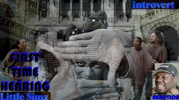 Little Simz - Introvert 🙏🏿🙏🏿🔥🔥"THE UK FEMALE KENDRICK"  {REACTION} | FIRST TIME HEARING