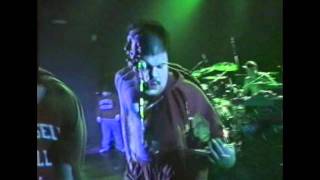 Madball Live 5-0 HD